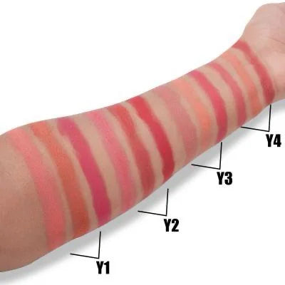 Miss Rose Dreamy 3 in 1 Blush