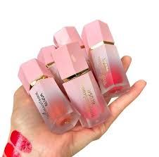 Trendy Lip & Cheek Makeup Set – 5-Piece Collection